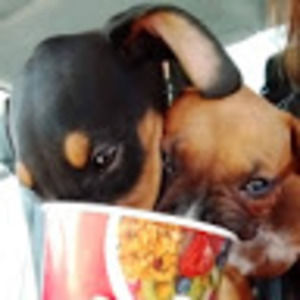 Meet your Posher, Alicia